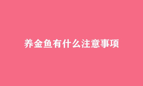 养金鱼有什么注意事项
