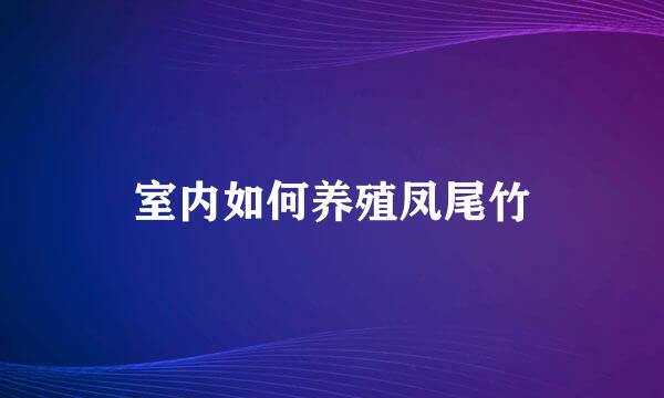 室内如何养殖凤尾竹