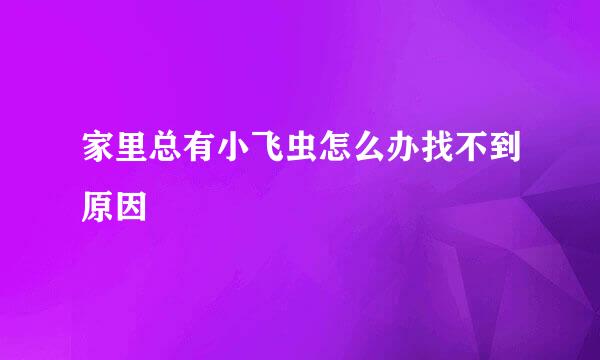 家里总有小飞虫怎么办找不到原因