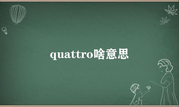 quattro啥意思