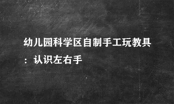 幼儿园科学区自制手工玩教具：认识左右手