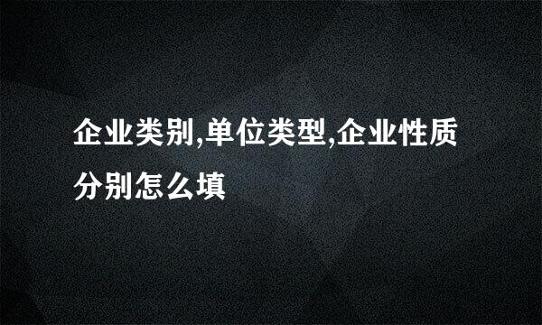 企业类别,单位类型,企业性质分别怎么填