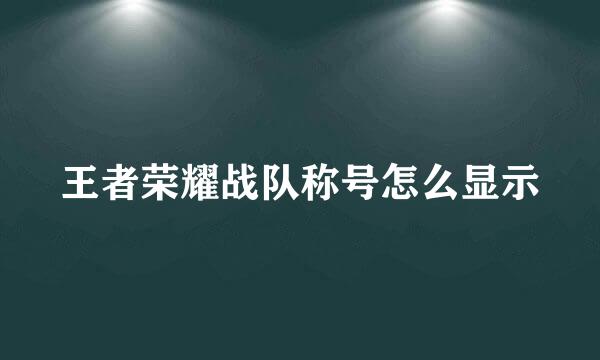 王者荣耀战队称号怎么显示