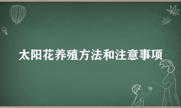 太阳花养殖方法和注意事项