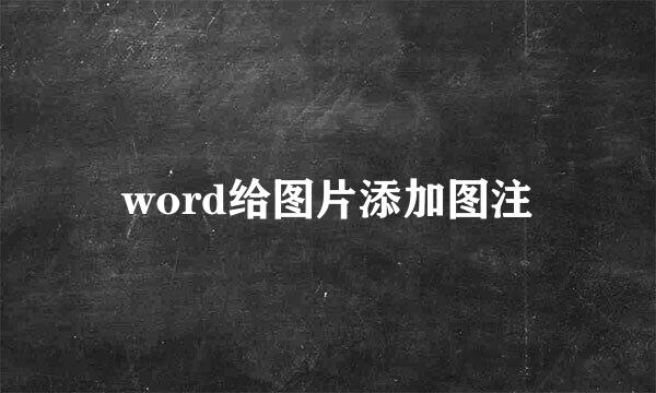 word给图片添加图注