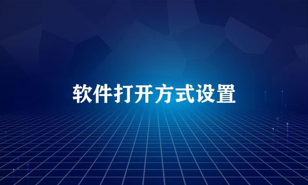 软件打开方式设置
