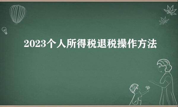 2023个人所得税退税操作方法
