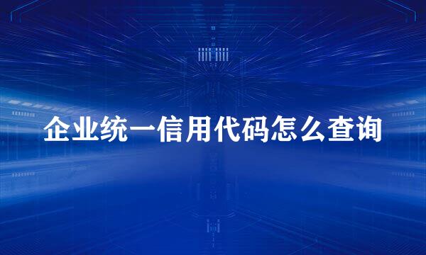 企业统一信用代码怎么查询