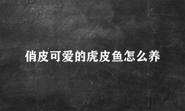 俏皮可爱的虎皮鱼怎么养