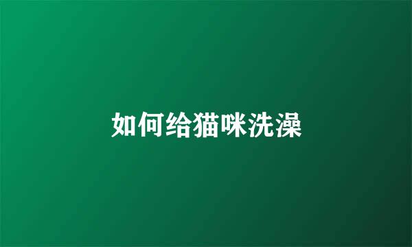 如何给猫咪洗澡