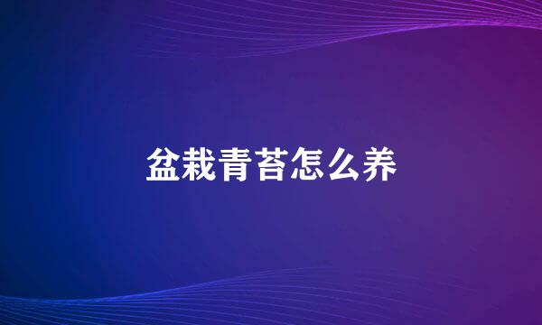 盆栽青苔怎么养