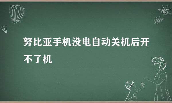 努比亚手机没电自动关机后开不了机