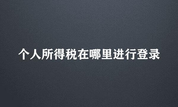 个人所得税在哪里进行登录
