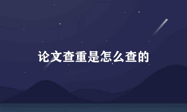 论文查重是怎么查的