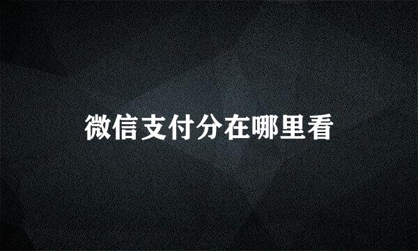 微信支付分在哪里看