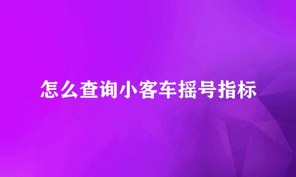 怎么查询小客车摇号指标