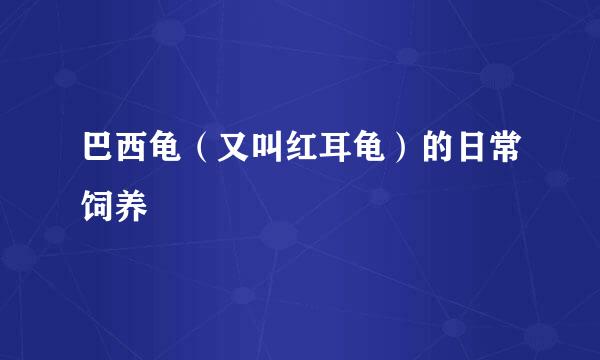 巴西龟（又叫红耳龟）的日常饲养