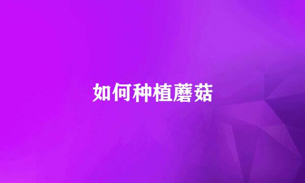 如何种植蘑菇