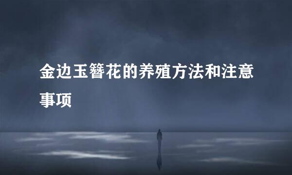 金边玉簪花的养殖方法和注意事项