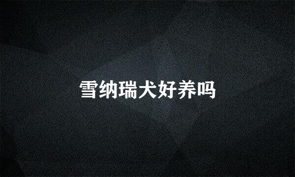 雪纳瑞犬好养吗