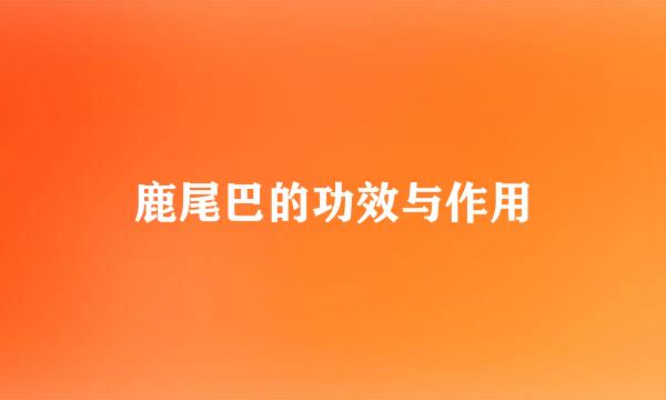 鹿尾巴的功效与作用