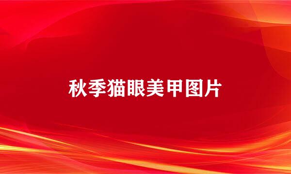 秋季猫眼美甲图片