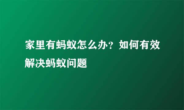 家里有蚂蚁怎么办？如何有效解决蚂蚁问题