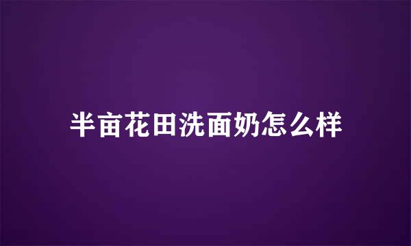 半亩花田洗面奶怎么样