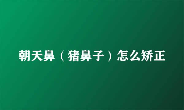 朝天鼻（猪鼻子）怎么矫正