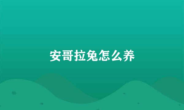 安哥拉兔怎么养