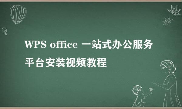 WPS office 一站式办公服务平台安装视频教程