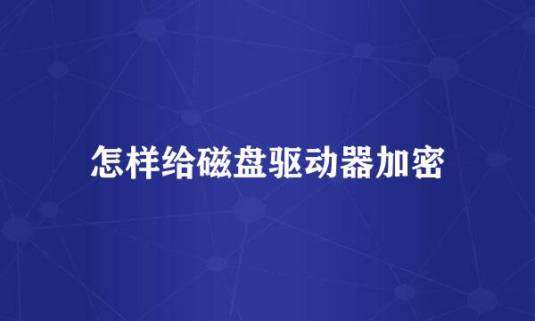 怎样给磁盘驱动器加密