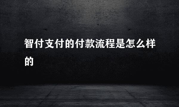 智付支付的付款流程是怎么样的