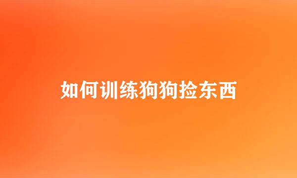 如何训练狗狗捡东西