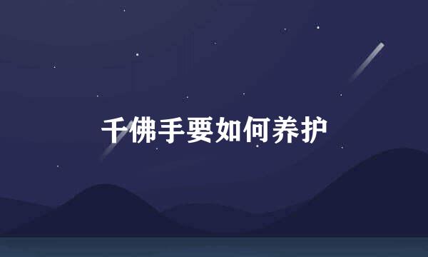 千佛手要如何养护