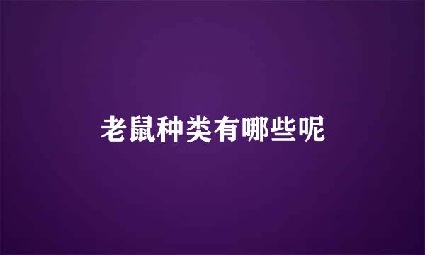 老鼠种类有哪些呢
