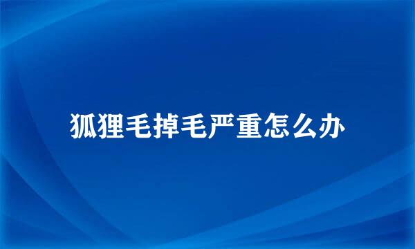 狐狸毛掉毛严重怎么办