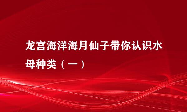 龙宫海洋海月仙子带你认识水母种类（一）