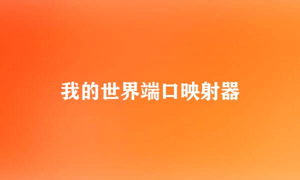 我的世界端口映射器