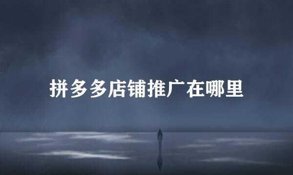 拼多多店铺推广在哪里