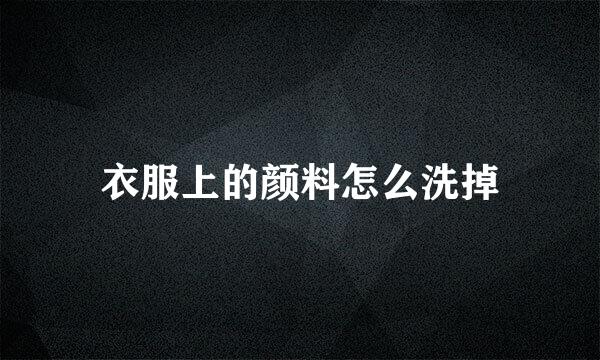 衣服上的颜料怎么洗掉