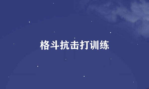 格斗抗击打训练