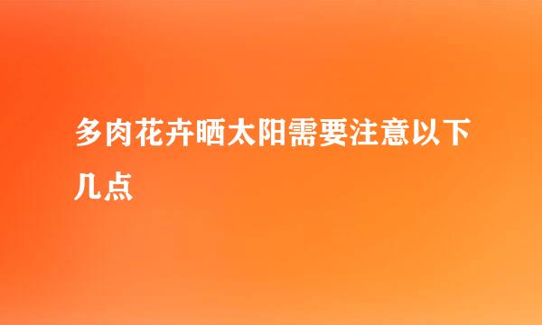 多肉花卉晒太阳需要注意以下几点