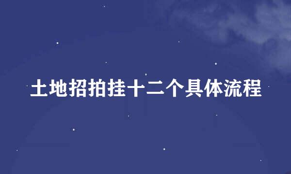 土地招拍挂十二个具体流程