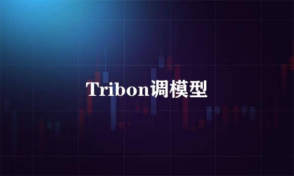 Tribon调模型