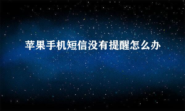 苹果手机短信没有提醒怎么办