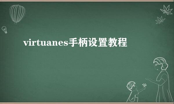 virtuanes手柄设置教程