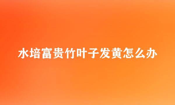 水培富贵竹叶子发黄怎么办
