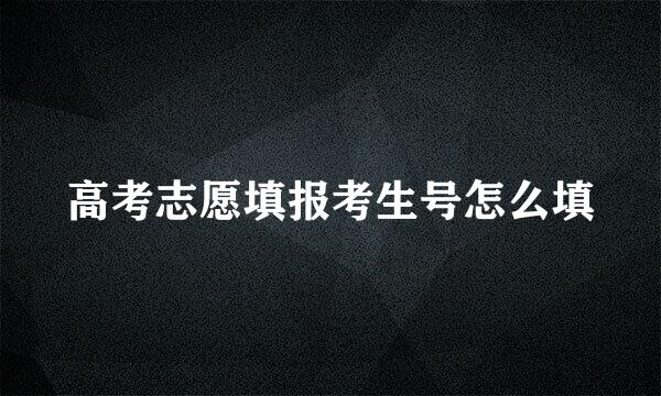 高考志愿填报考生号怎么填