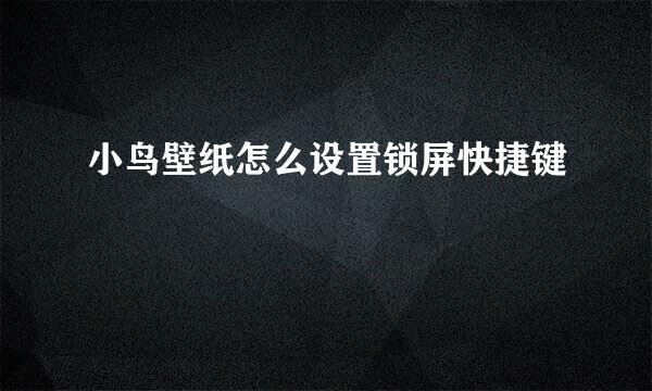 小鸟壁纸怎么设置锁屏快捷键